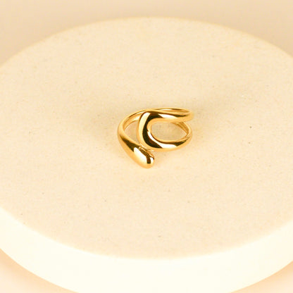 Anillo Encontrados