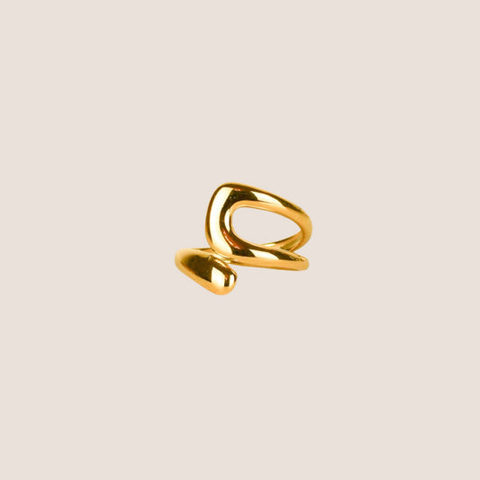 Anillo Encontrados